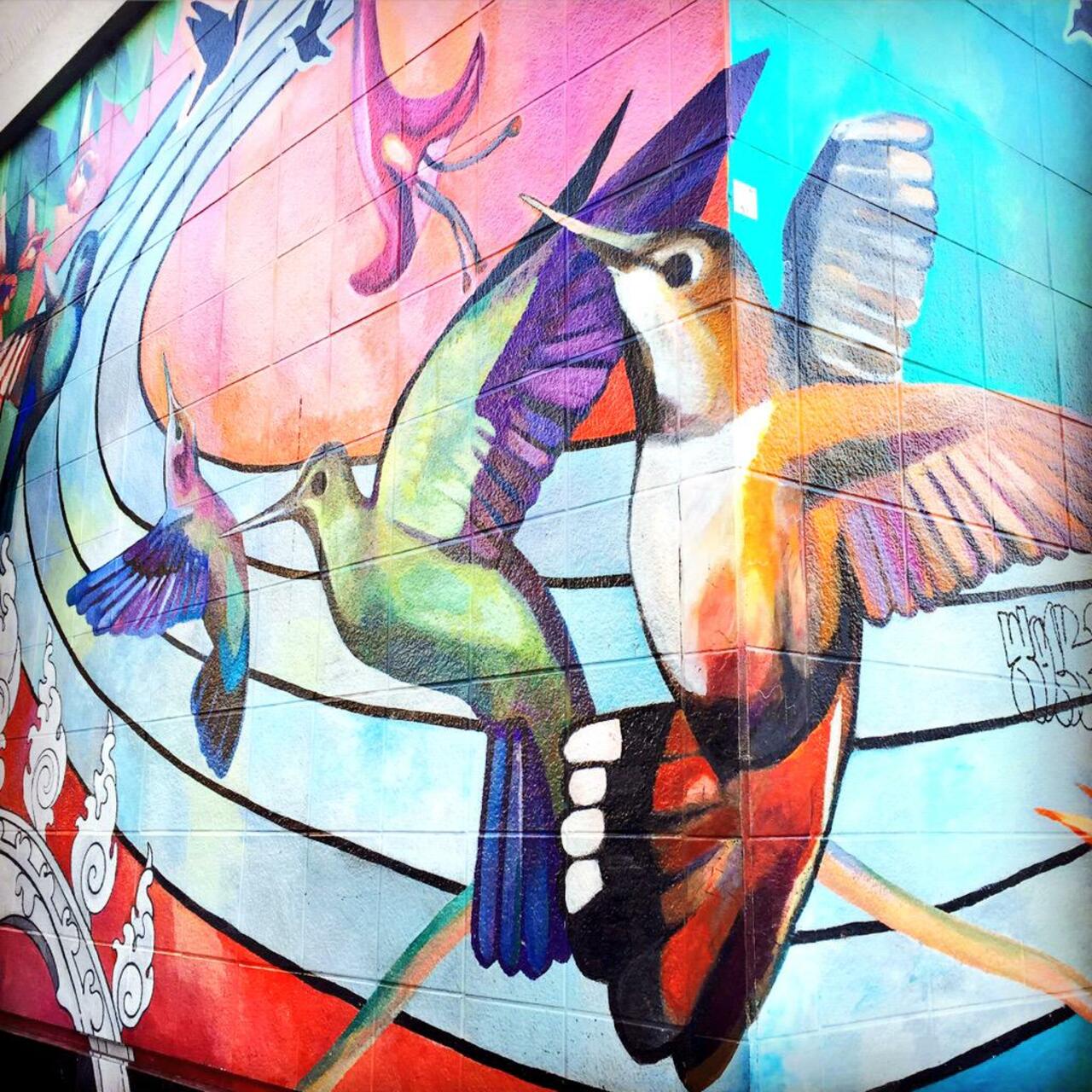 #21 of the series #EyeofCC #IspySF #sanfrancisco #live #art #streetart #graffiti #color #bird #PhotoJournalist http://t.co/BXqSJDP1Bp