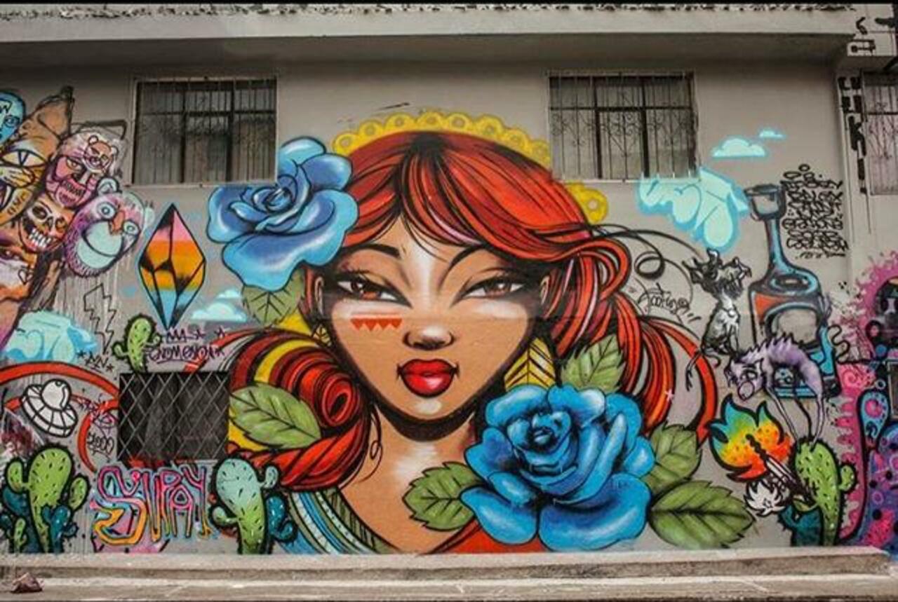 New Street Art by toofly & Natalia Pilaguano 

#art #mural #graffiti #streetart http://t.co/fDK8LxZ5D8