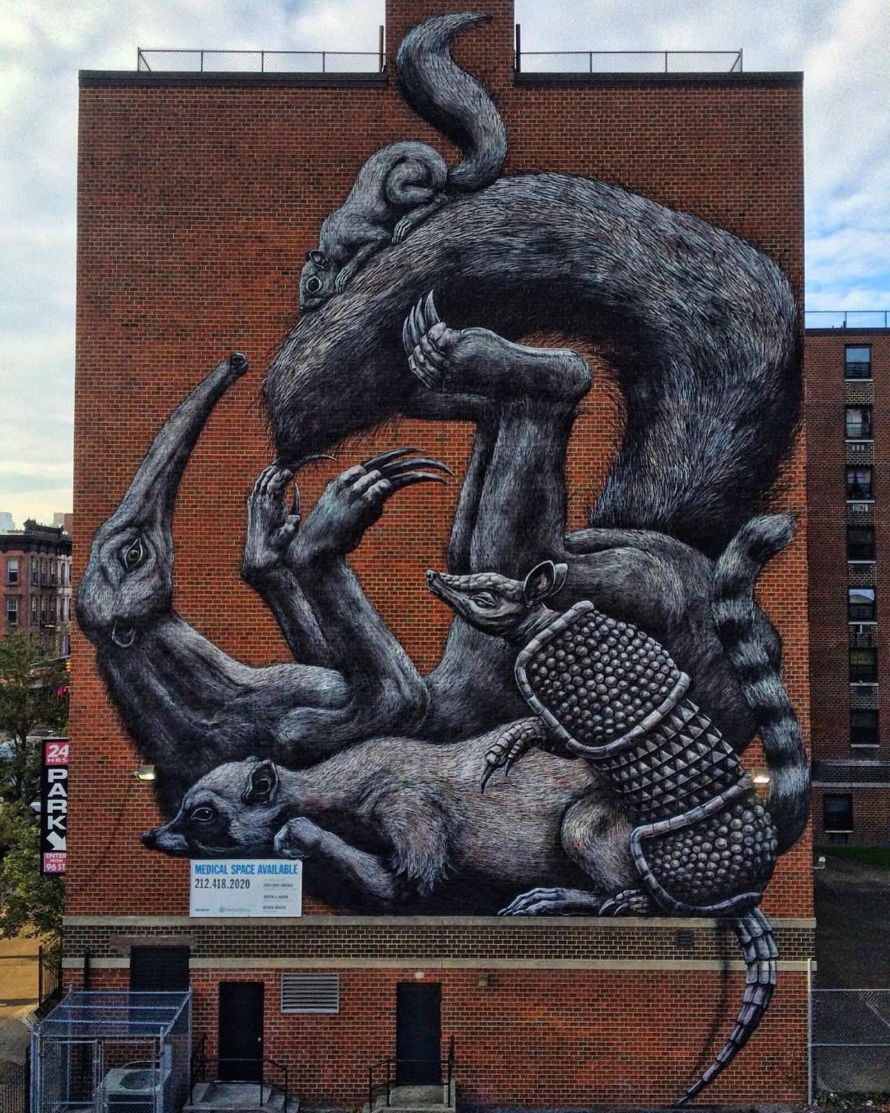 ROA unveils a new mural in East Harlem, NYC for Monument Art. #StreetArt #Graffiti #Mural http://t.co/V9kwntNSBP