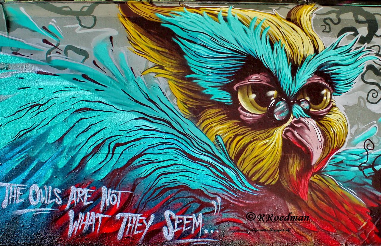 RT @RRoedman: #streetart #graffiti #mural #owl in  #Eindhoven ,2 pics at http://wallpaintss.blogspot.nl http://t.co/hyllEtUj3R