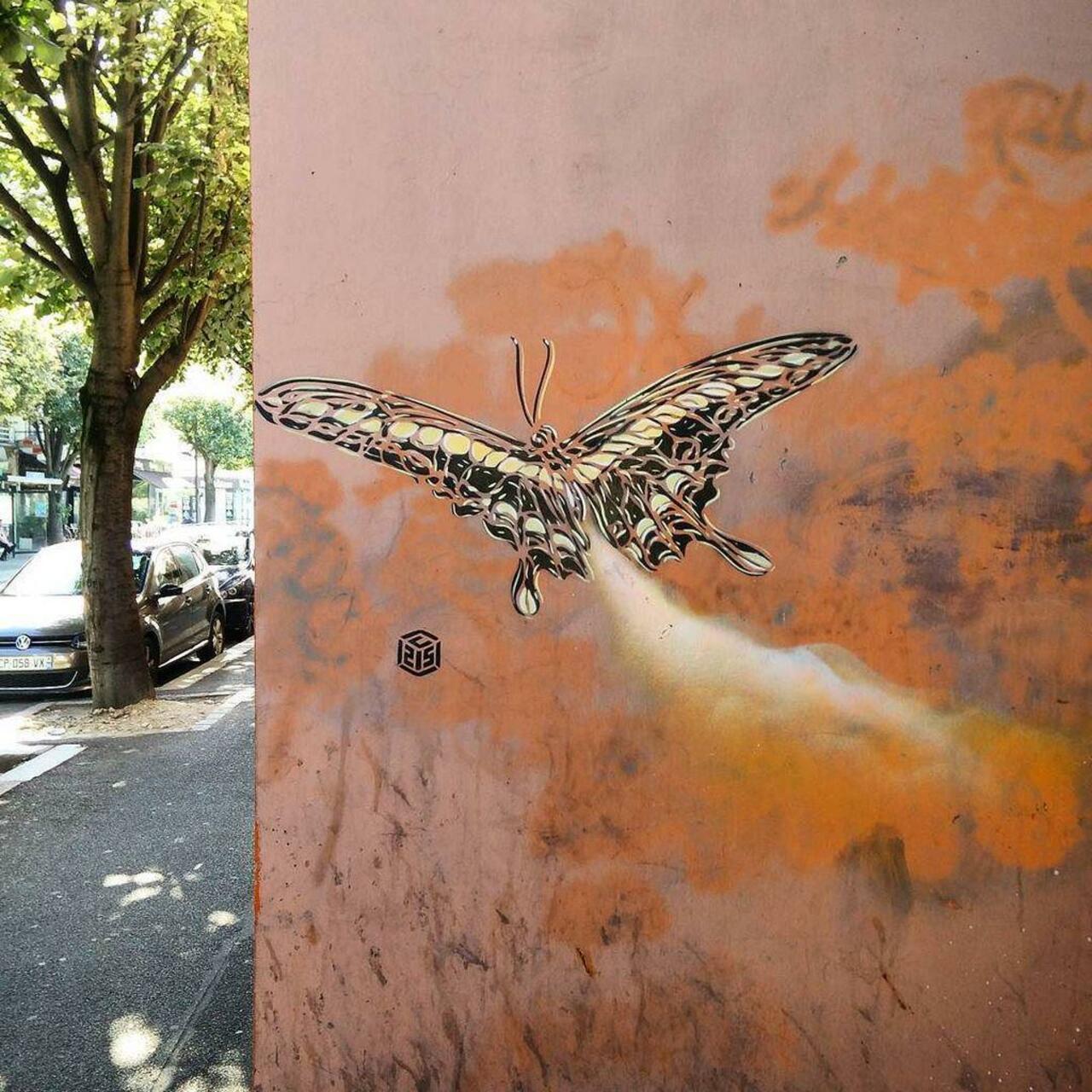 Butterfly by #C215 @christianguemy 
#streetart #streetartparis #parisstreetart #parisgraffiti #graffiti #graffitiar… http://t.co/stmxd1PnCq