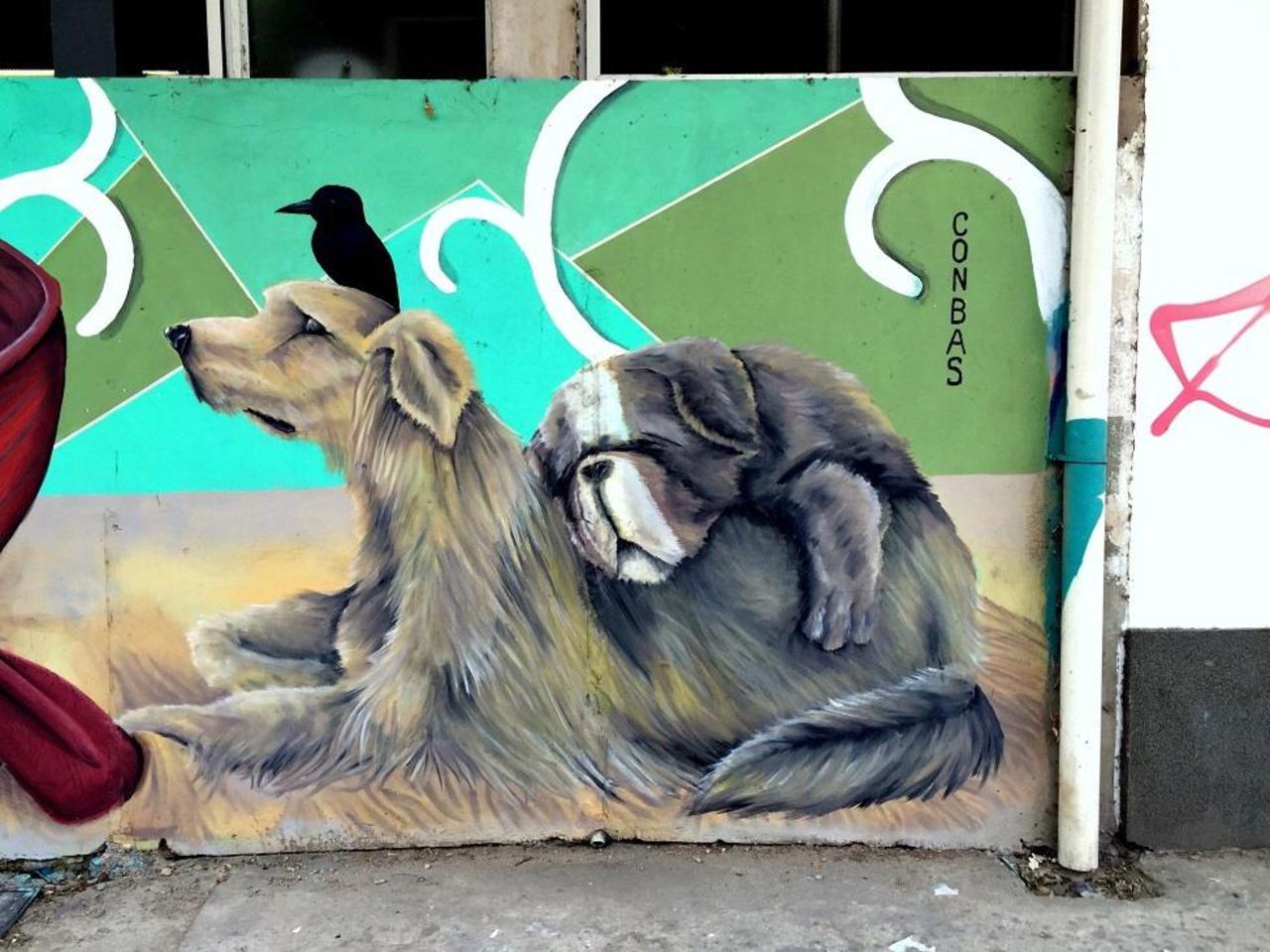 #Graffiti de hoy: <Friends will be friends...> calle 22, 60y61 #LaPlata #Argentina #StreetArt #UrbanArt #ArteUrbano http://t.co/LEv7WvEDmv