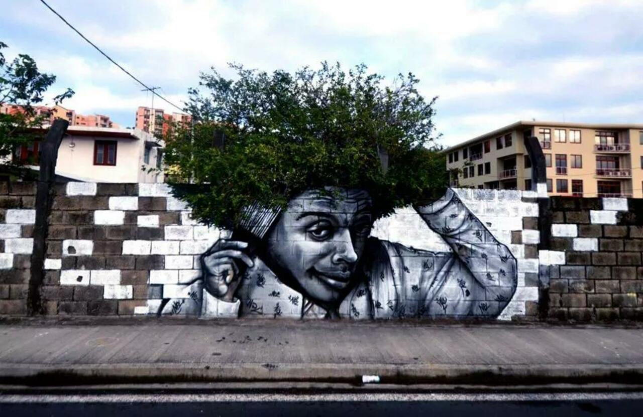 RT @a_vitauskas: Гармония природы и искусства -- #фото #стритарт #граффити #photo #streetart #graffiti -- http://t.co/vJOAIjzGlS