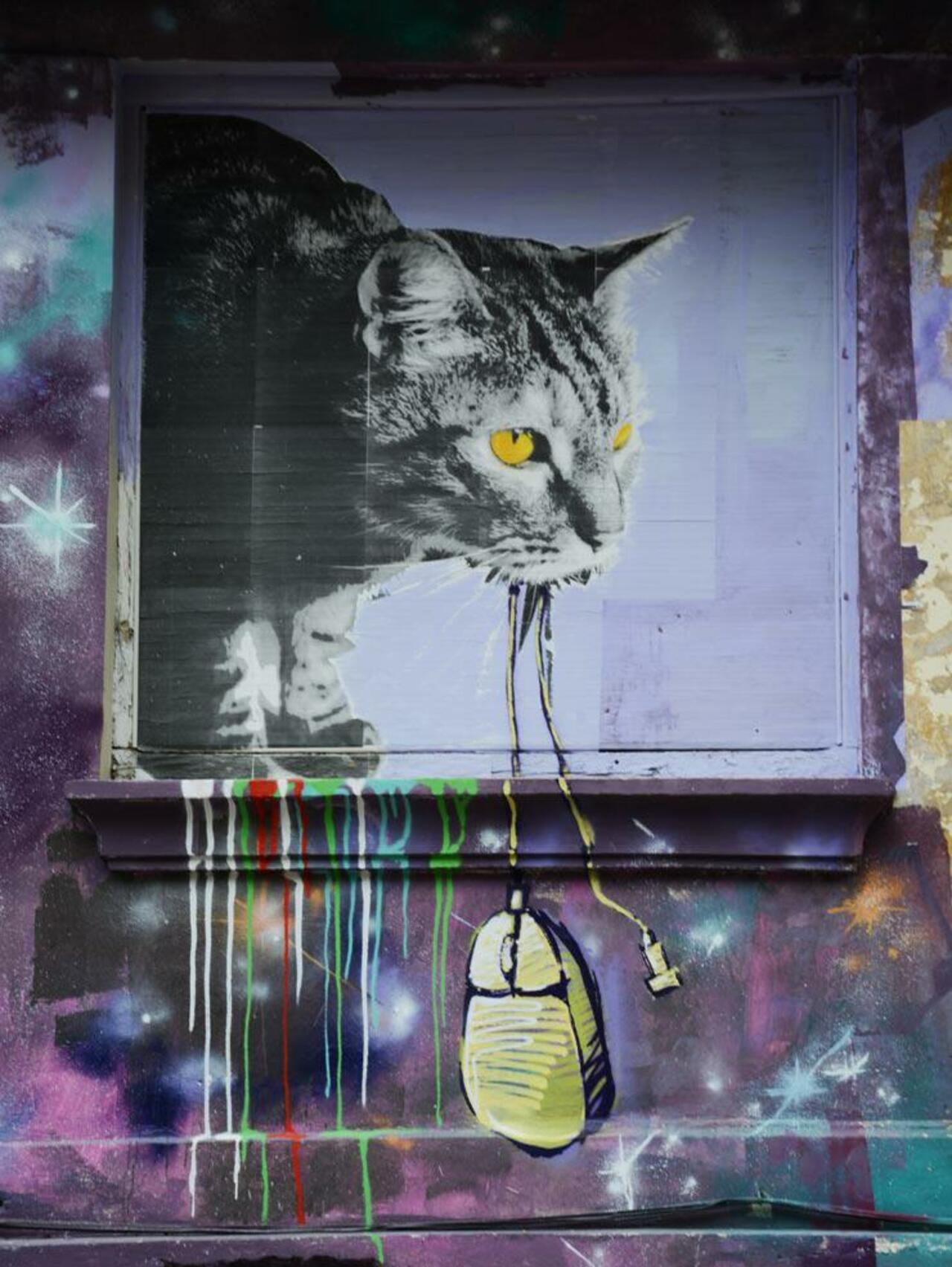 RT @city_z3n_0wl: Cat w/ mouse. Pamplona, Spain
#streetart #urbanart #graffiti http://t.co/v2mGXR2KEm