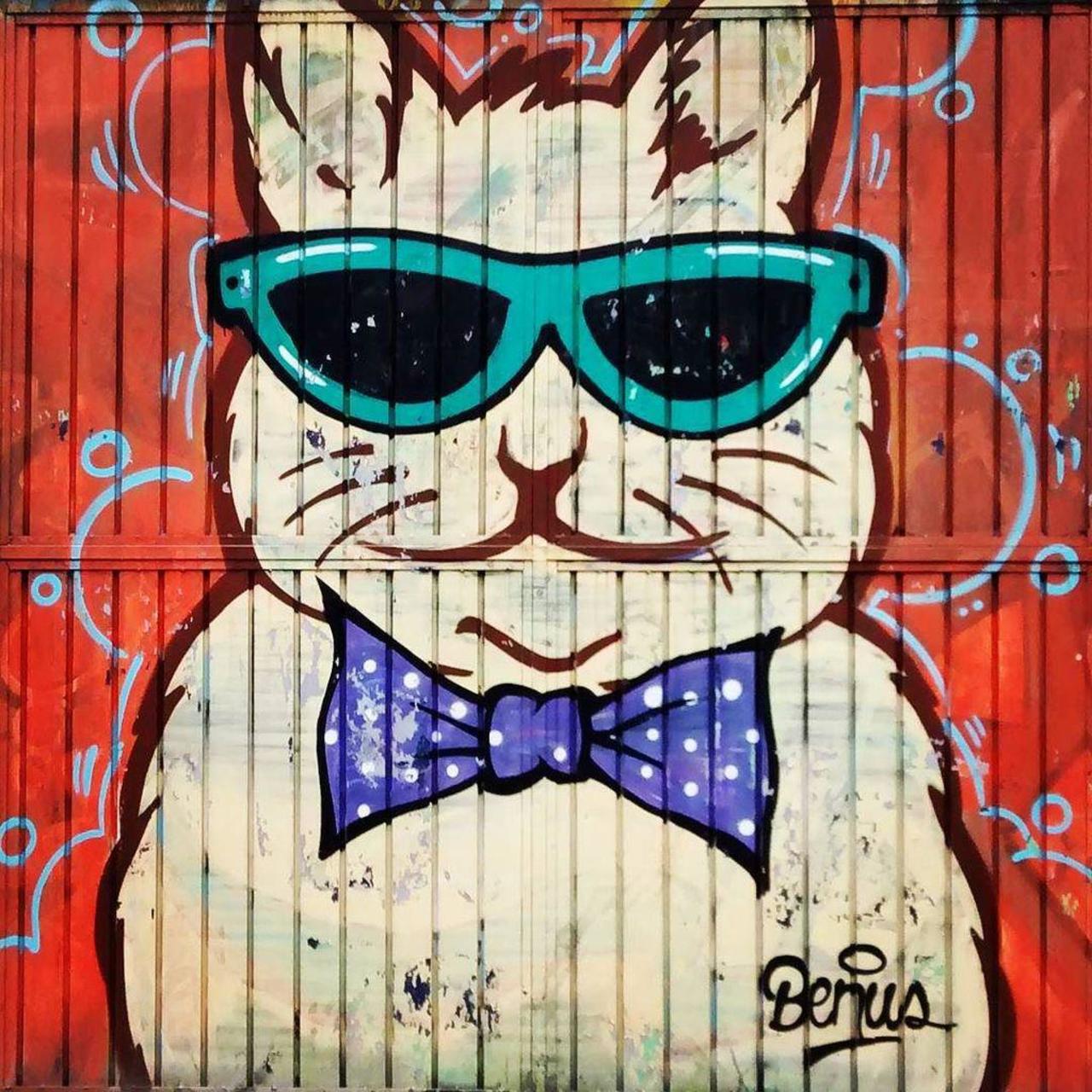 RT @StArtEverywhere: 
#gato #cat #neko
#graffiti #grafite #streetart 
#streetartmexico #mexicocity by vherner http://t.co/8Ulp7xlB5S