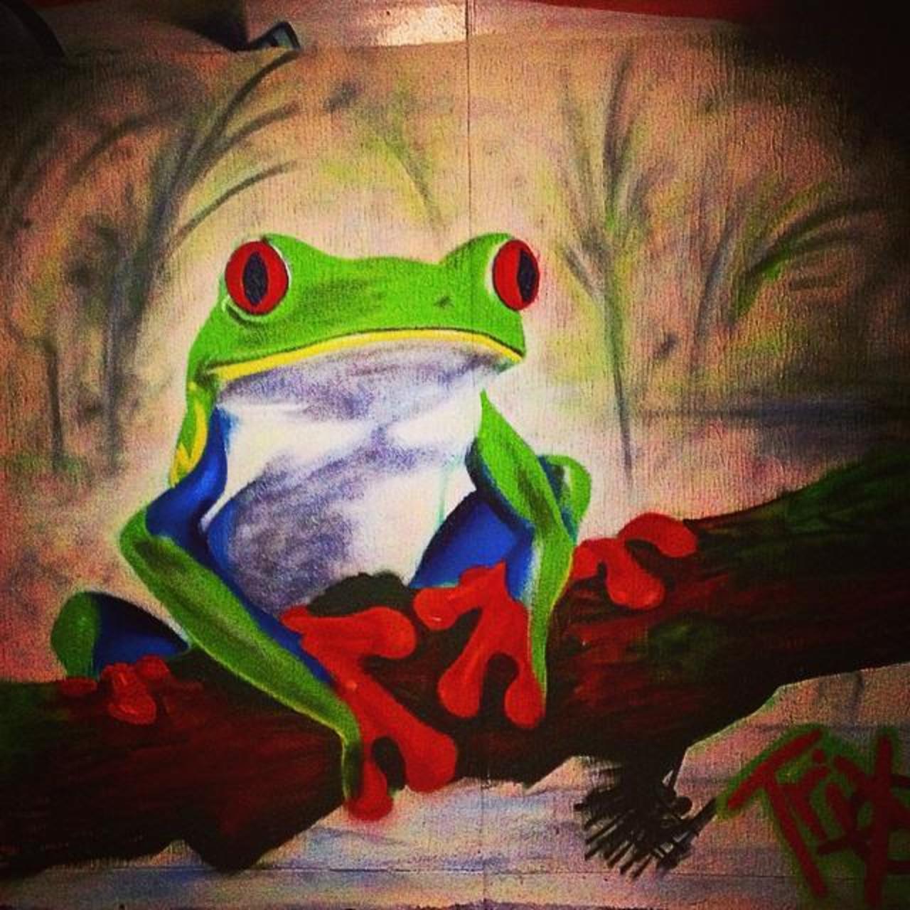 cute rainforest frog found in #Gloucester by artist Trix @rtglos #streetart #graffiti #photography http://t.co/PpRQoXV4gF