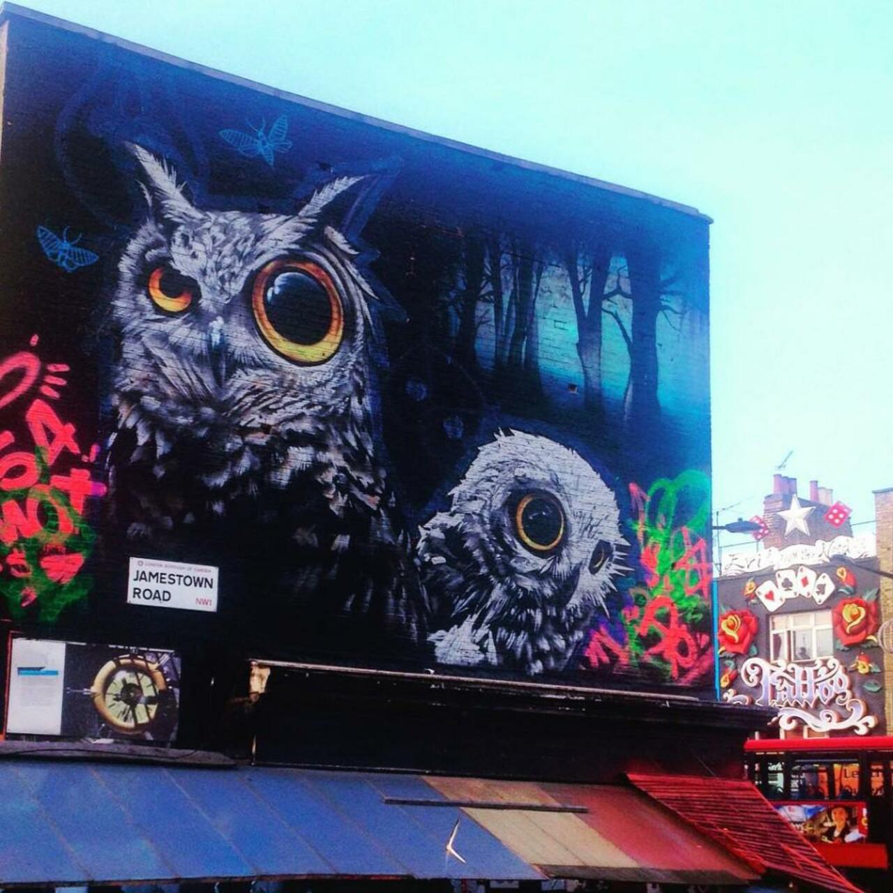 danilo_machin #streetiam #streetart #Camden #London #graffiti #owl - http://streetiam.com/danilo_machin-2/ https://t.co/1No6LbnZiK