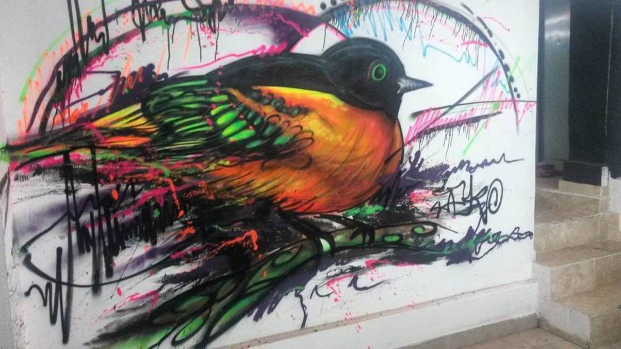 Birdy #graffiti #streetart #streetartist #streetartistanbul #freestyle #art #artist #artistanbul #dekorasyon #paint… https://t.co/50ycr9ZNBe