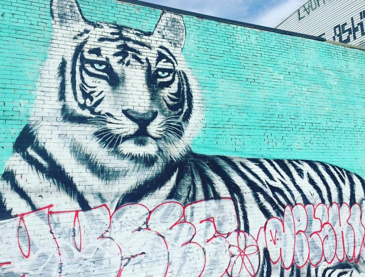 MT @circumjacent: #NewYorkCity #graffiti photo by @willsav84 https://instagram.com/p/9JvIgUIx-i/ #StreetArt https://t.co/4vl3SnbJQB