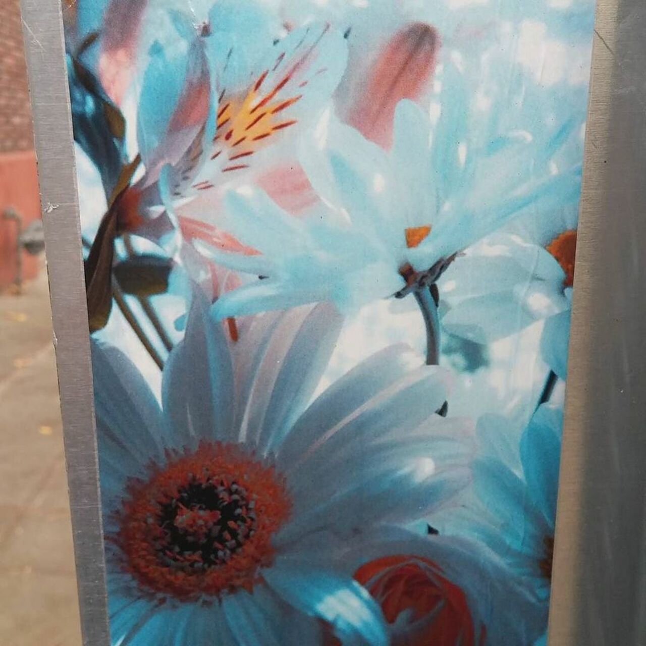 #seattle #streetart #urban #urbanart #graffiti #artsy #instagraffiti #daisy #flowers https://t.co/h6pzb7OS61