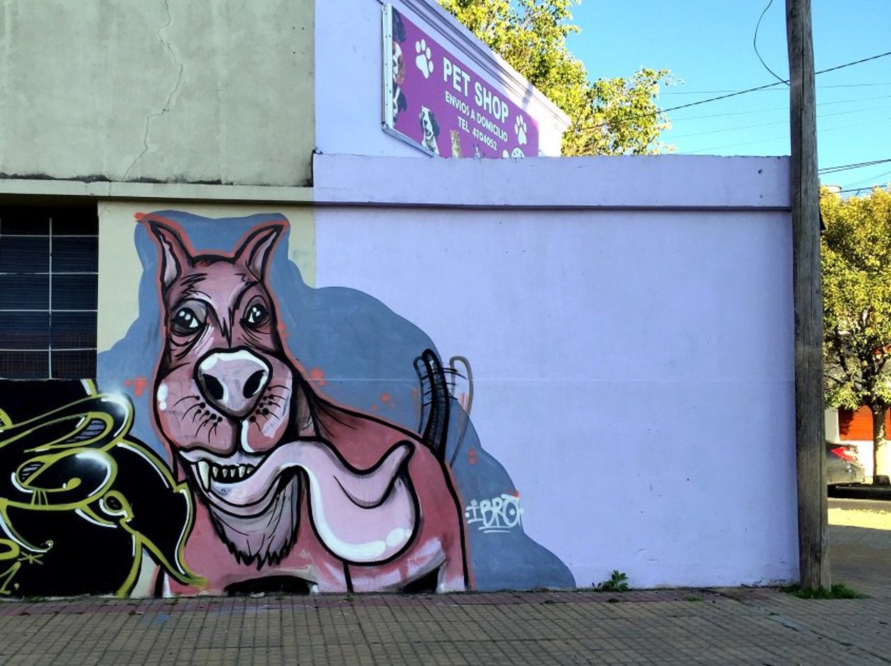 #Graffiti de hoy: << Man’s best friend >> Diag. 76y46 #LaPlata #Argentina #StreetArt #UrbanArt #ArteUrbano https://t.co/geZ7lv2cJW