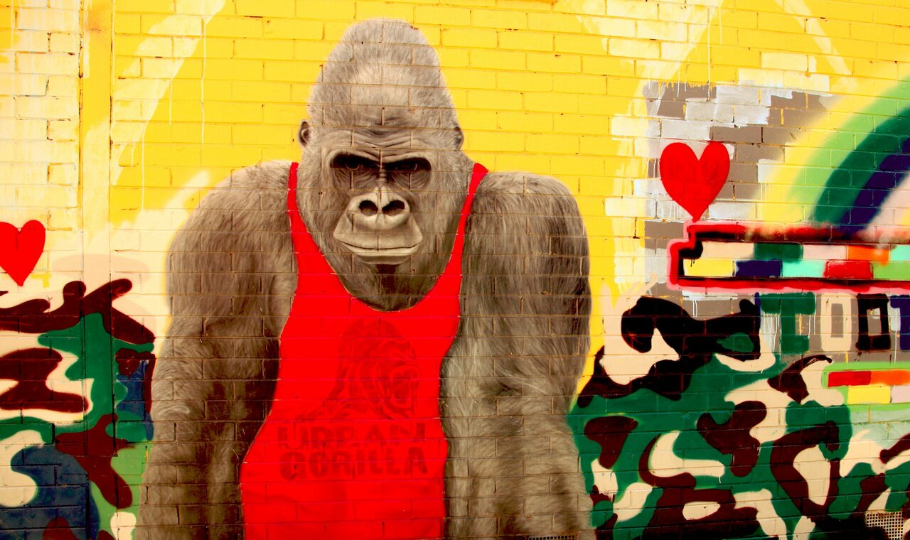 #Streetart #urbanart #graffiti #mural "Urban Gorilla" in Brunswick, Melbourne, Australia. https://t.co/LvaTGTSgtw