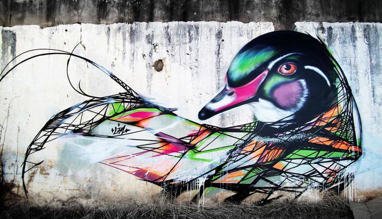 RT @DanielGennaoui: Urban bird watching. Beautiful piece by L7M. See more like this: http://buff.ly/1ArGb8D #graffiti #streetart http://t.co/i5mIWgxtlO