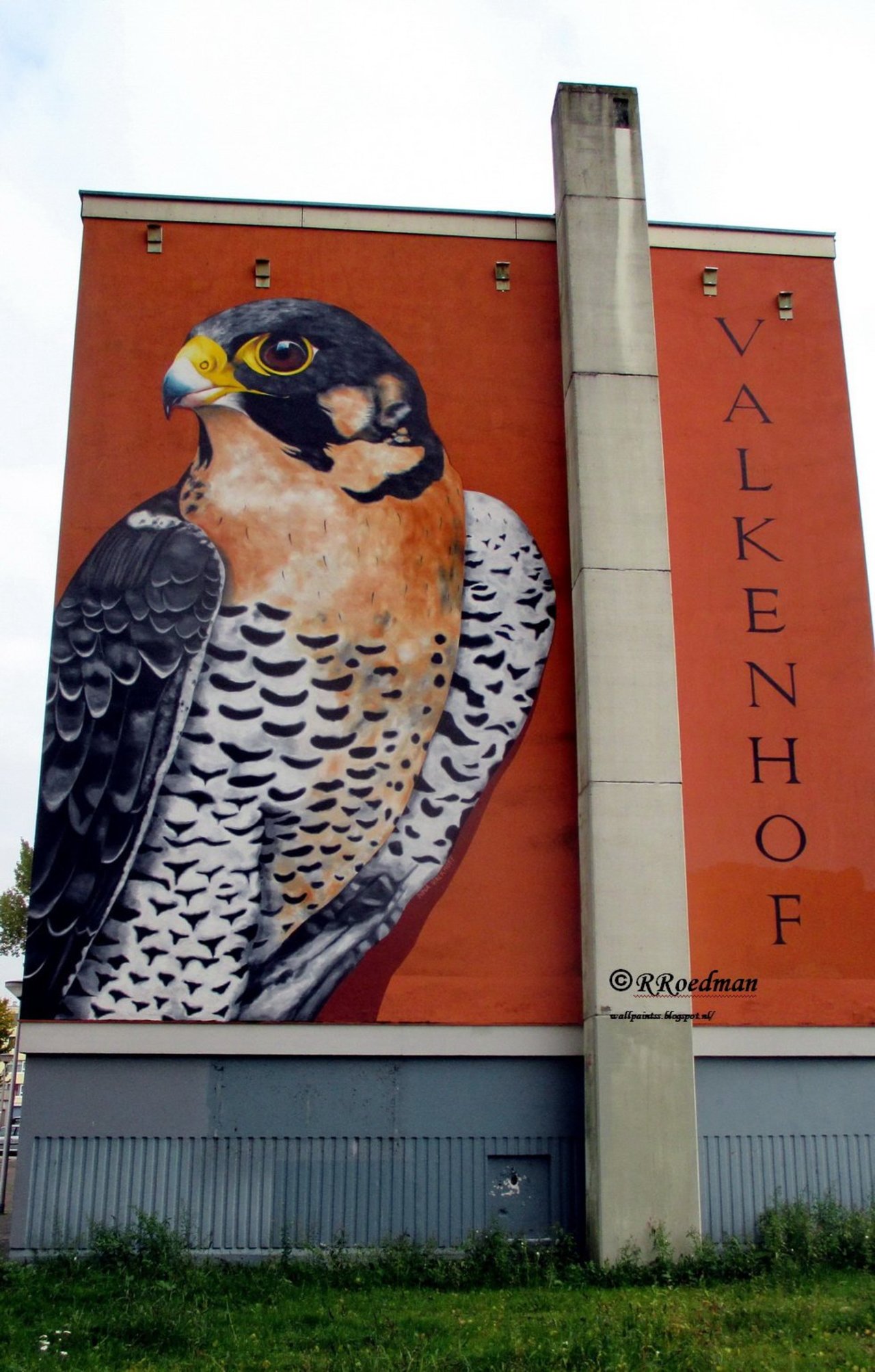 #streetart #graffiti #mural falcon in  #CapelleAanDenIJssel  #netherlands ,2 pics at http://wallpaintss.blogspot.nl https://t.co/eVvY57fmT3