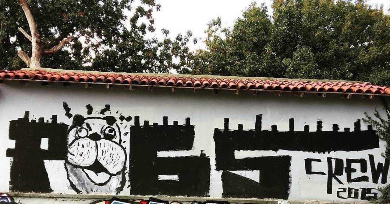 #tv_sa_animals2 @dsb_graff #dsb_graff @rsa_graffiti #ingf@streetawesome #streetart #urbanart #graffitiart #graffiti… https://t.co/deRsUUyM8f