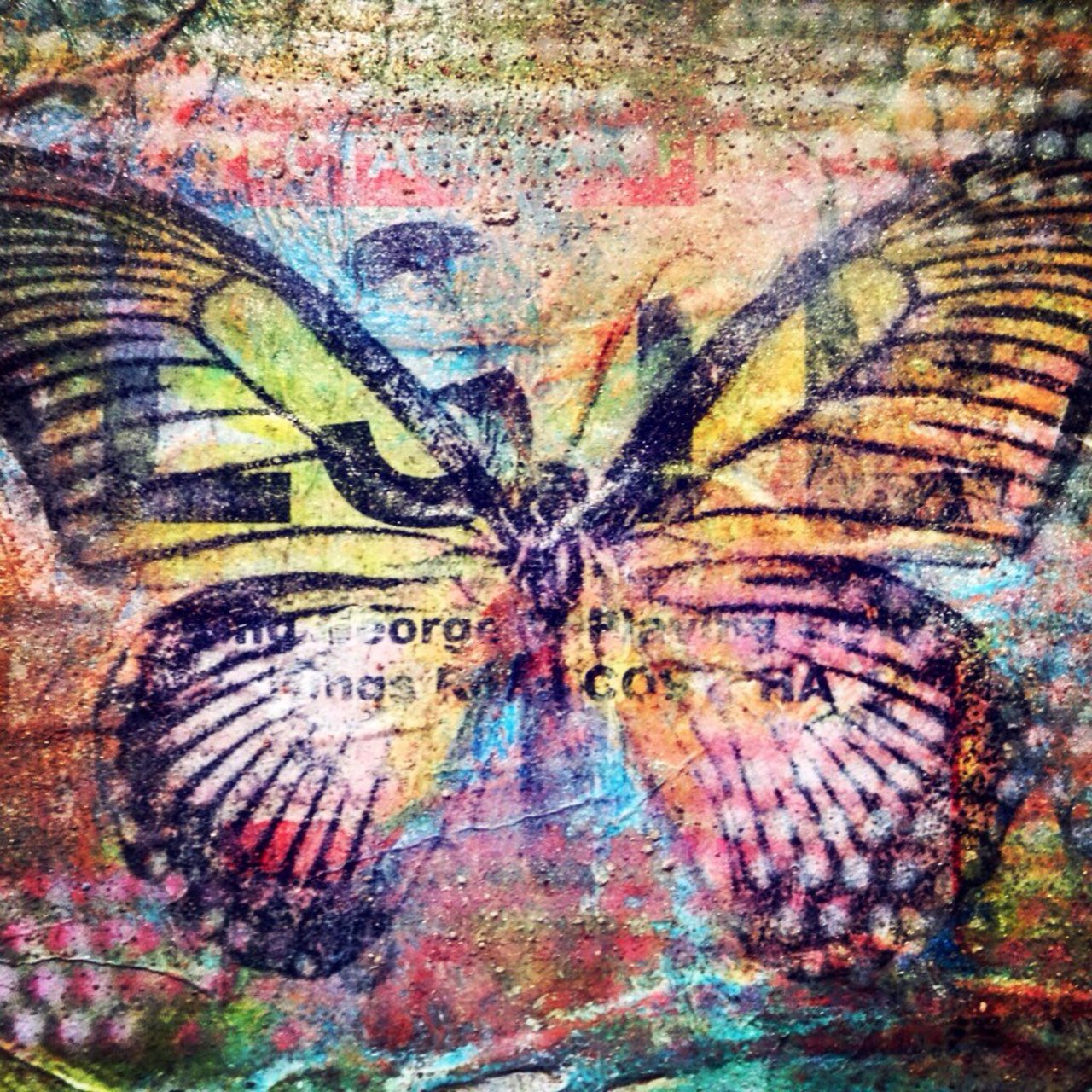 #Urban #Butterfly
#urbanart #urbanbutterfly #graffiti #streetart #spraypaint #stencil #mixedmedia #artist #mackman https://t.co/HVUqX2zZqC
