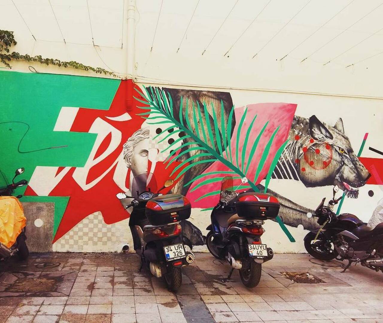 By @leolunatic  #dsb_graff @rsa_graffiti #ingf@streetawesome #streetart #urbanart #graffitiart #graffiti #instagraf… https://t.co/IMgVRIujvL