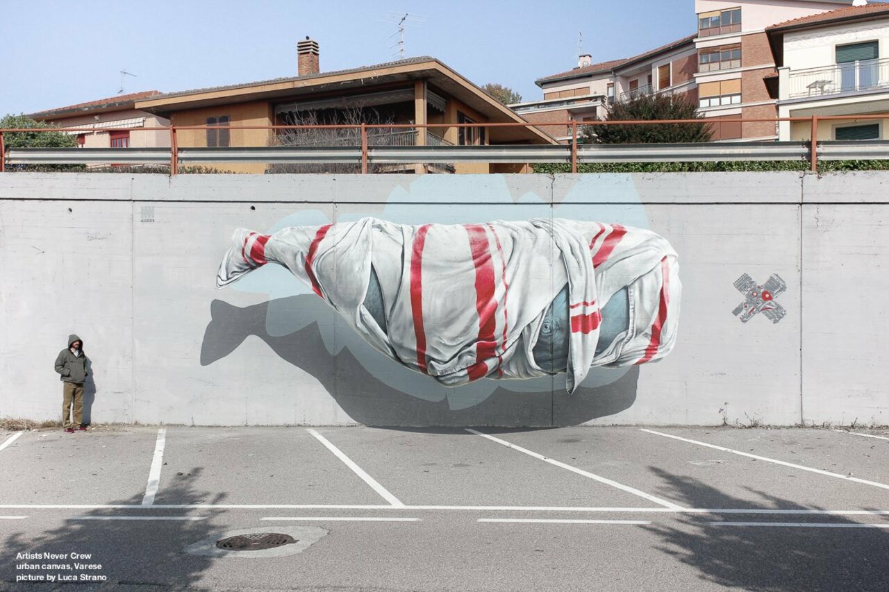Floating whale #mural by @nevercrew for #UrbanCanvas​ in Varese, #Italy  #streetart #varese #graffiti #urbanart https://t.co/tRdqhSK5oL