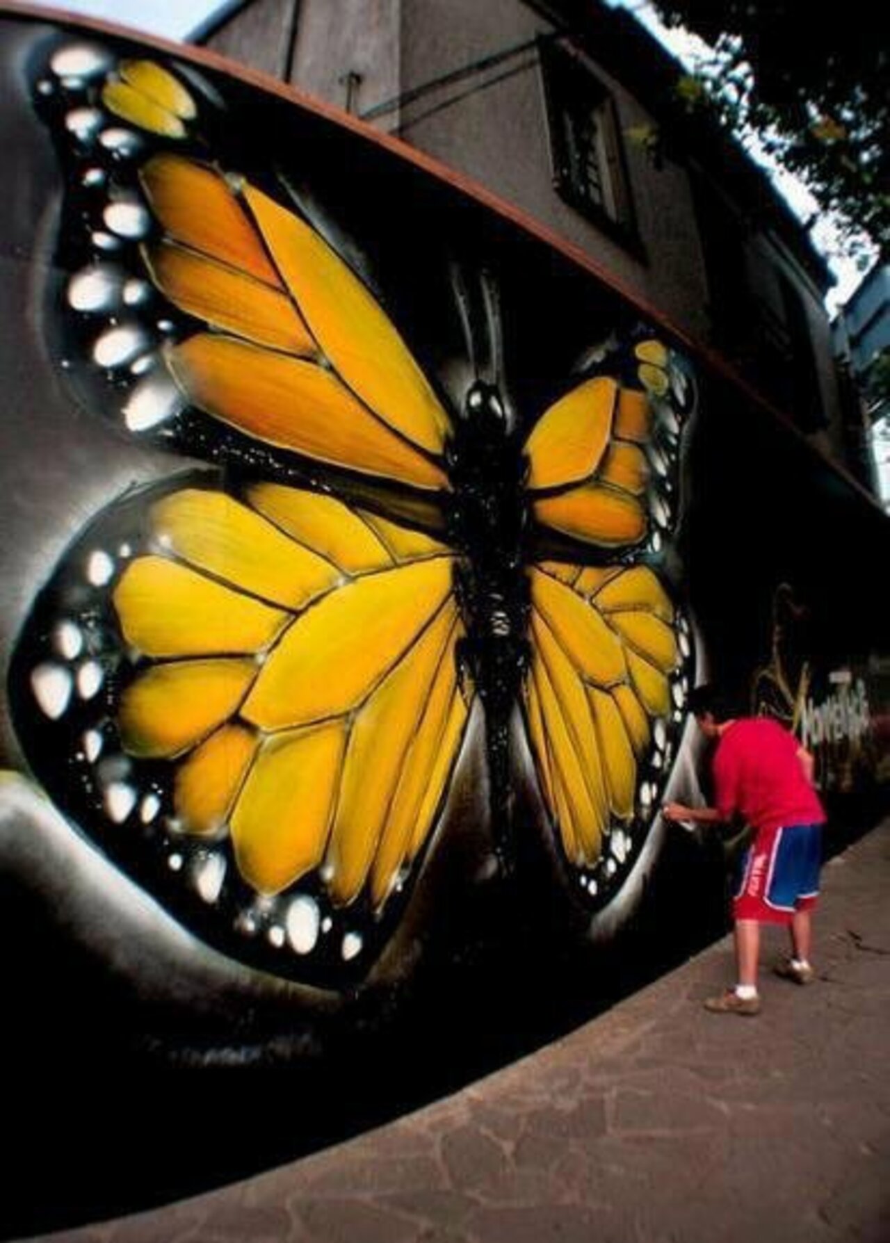 RT @AuKeats: #butterfly #streetart by #FabioLopes #Brazil #switch #graffiti #bedifferent #art #arte https://t.co/mnHlZx1K6h