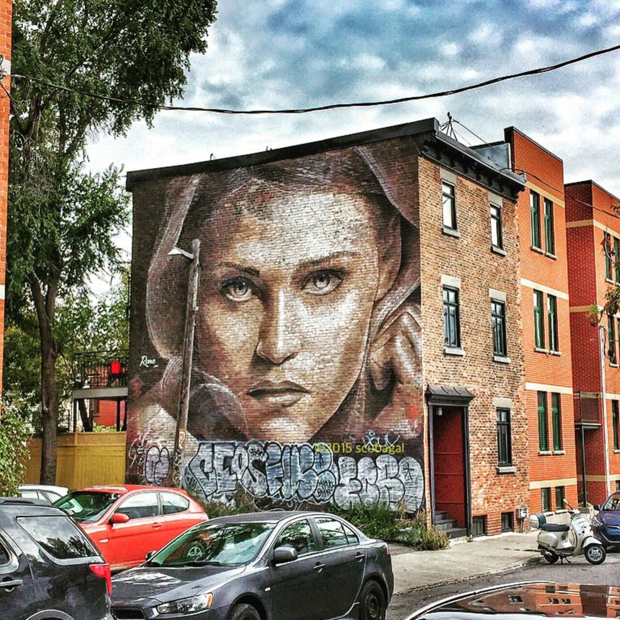 ShaniaSuperlove: The Walkflower | #Montreal #art #graffiti #streetart #streetphotography https://t.co/Tzvpn1r0Ea https://goo.gl/t4fpx2