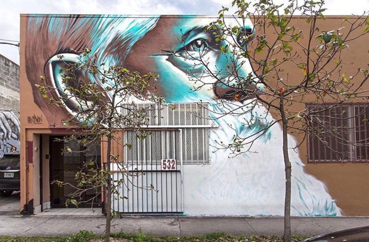 Street Art by Cpwon  Wynwood #art #mural #graffiti #streetart https://t.co/Cl10uwQrFZ