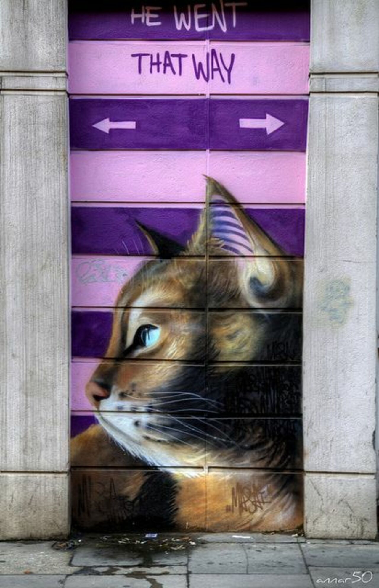 Cats of London  •   #streetart #graffiti #art  . : https://t.co/f2IlaK90qA