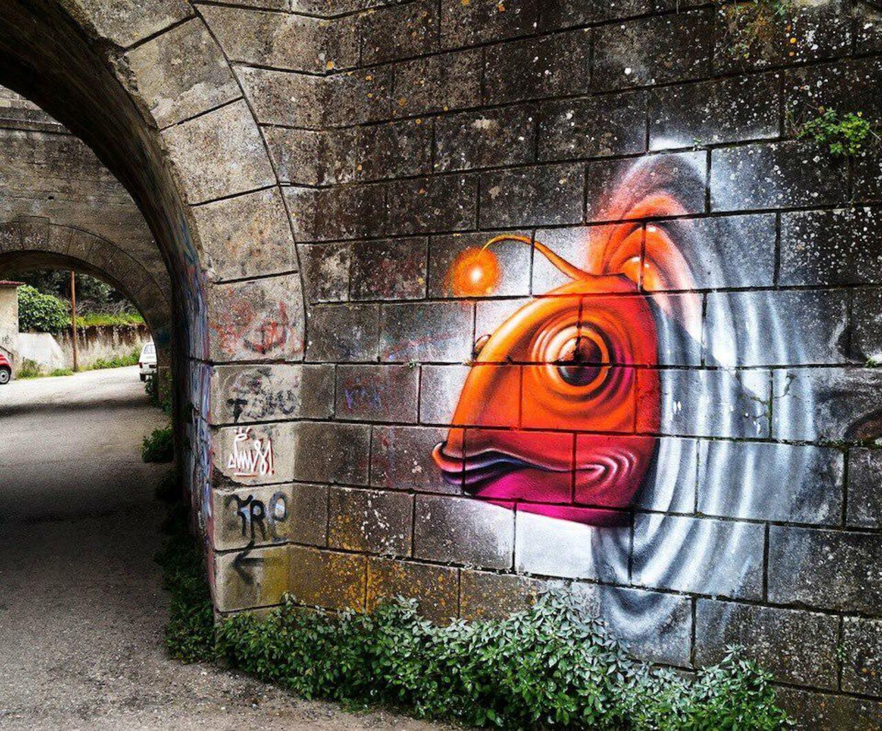 Cosmic fish from outer world. Discover more #streetart pieces: http://bit.ly/CosmicFish #graffiti https://t.co/JaBF8EKnhJ