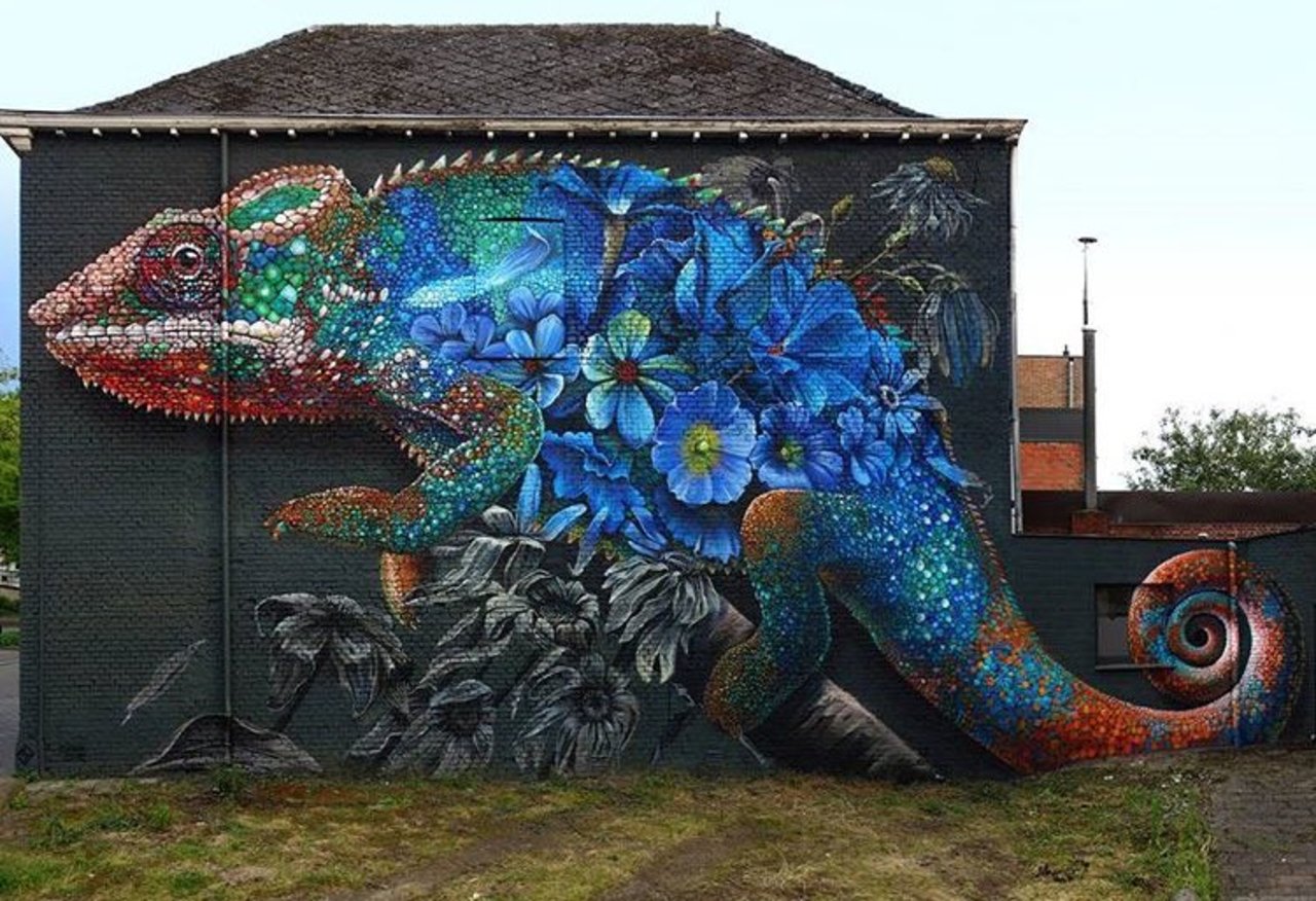 New Street Art by Mr Super A & Zenkone  found in Hasselt Belgium #art #graffiti #mural #streetart https://t.co/R7ygwjC3Pd