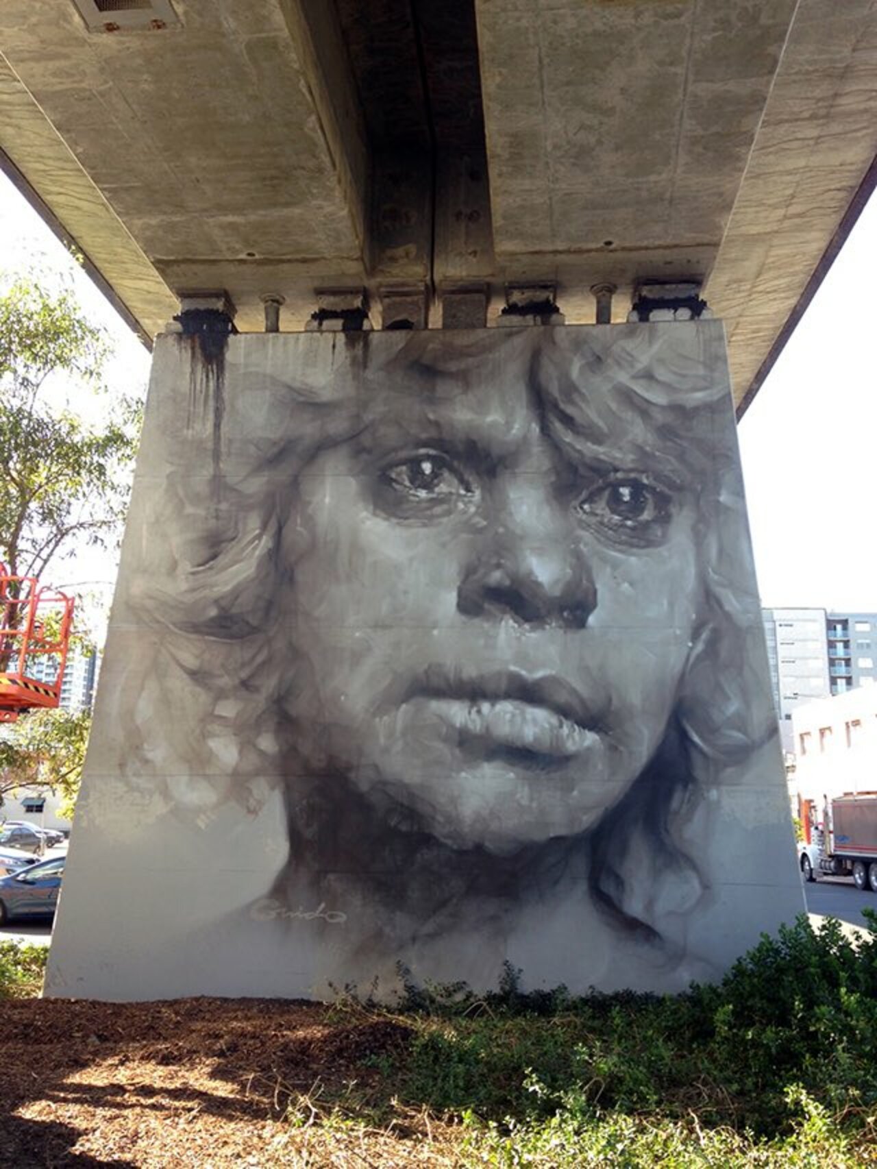 Brisbane, Australia #mural #streetart #urbanart #art #Graffiti #Brisbane #Australia https://t.co/PuRoz1zROH