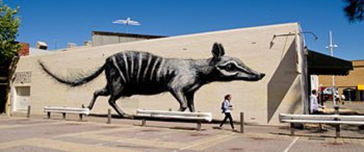 Mural by ROA, Fremantle, Australia #numbat #mural #Streetart #urbanart #graffiti #art #fremantle, #Australia https://t.co/ab4YZoDzSq