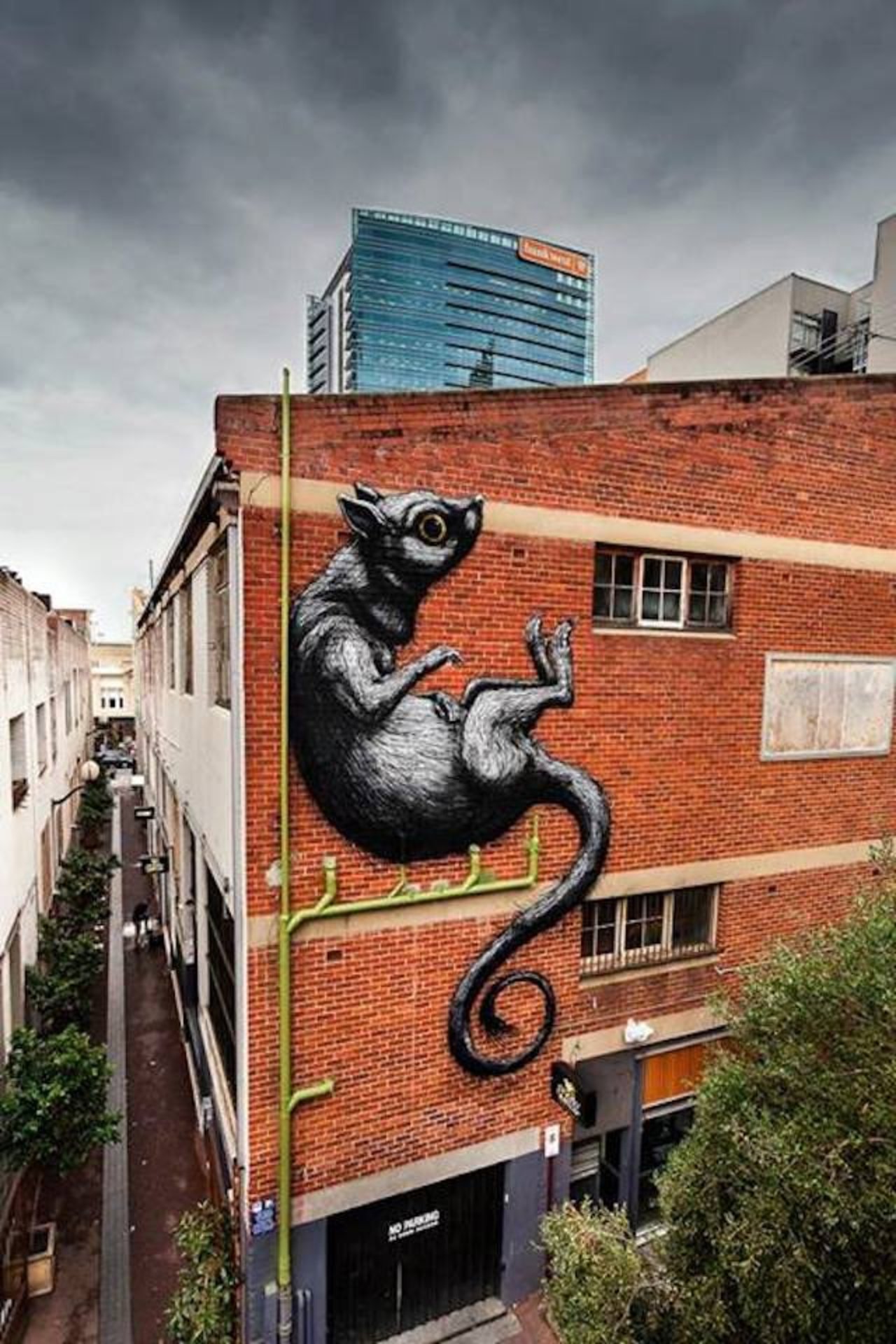 #Mural by ROA #Perth #Australia #Streetart #urbanart #graffiti #art https://t.co/QGWrxnEWYt
