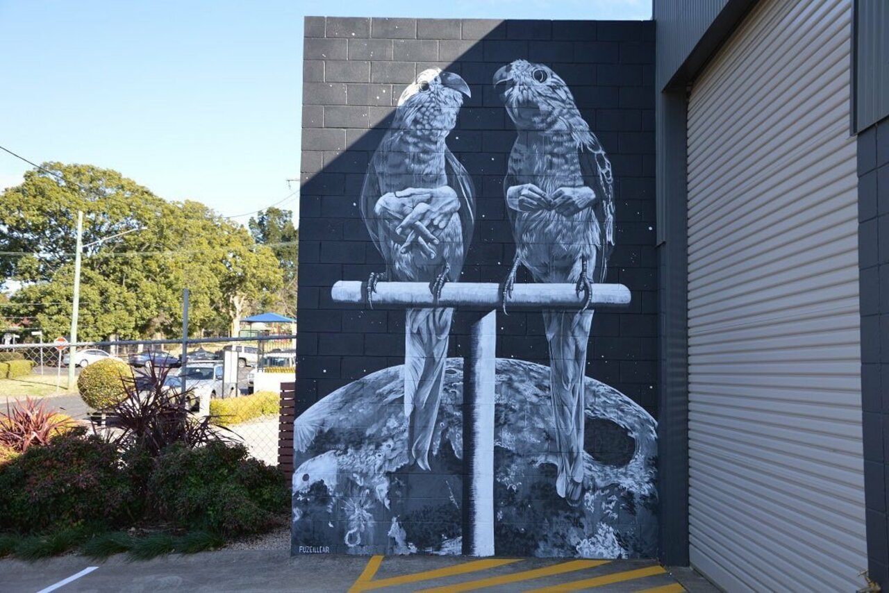#Mural by Fuzeillear #Toowoomba, #Australia #Streetart #urbanart #graffiti #art https://t.co/huDtXDXDHp