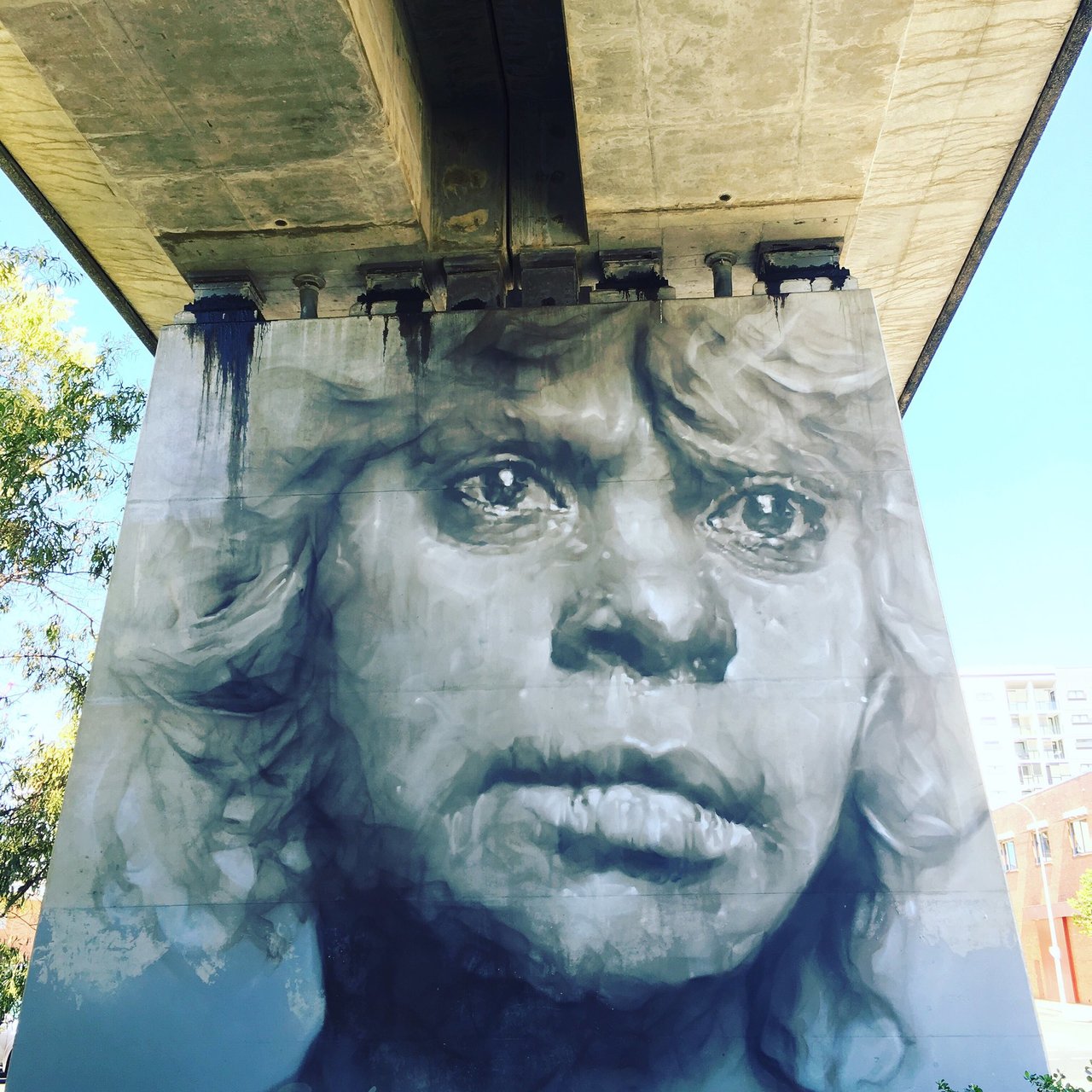 #LP writer in #Brisbane MT @CristianBonetto: Pillars Project turns a rail overpass into #streetart gallery. #travel https://t.co/J9XlwAbzBs