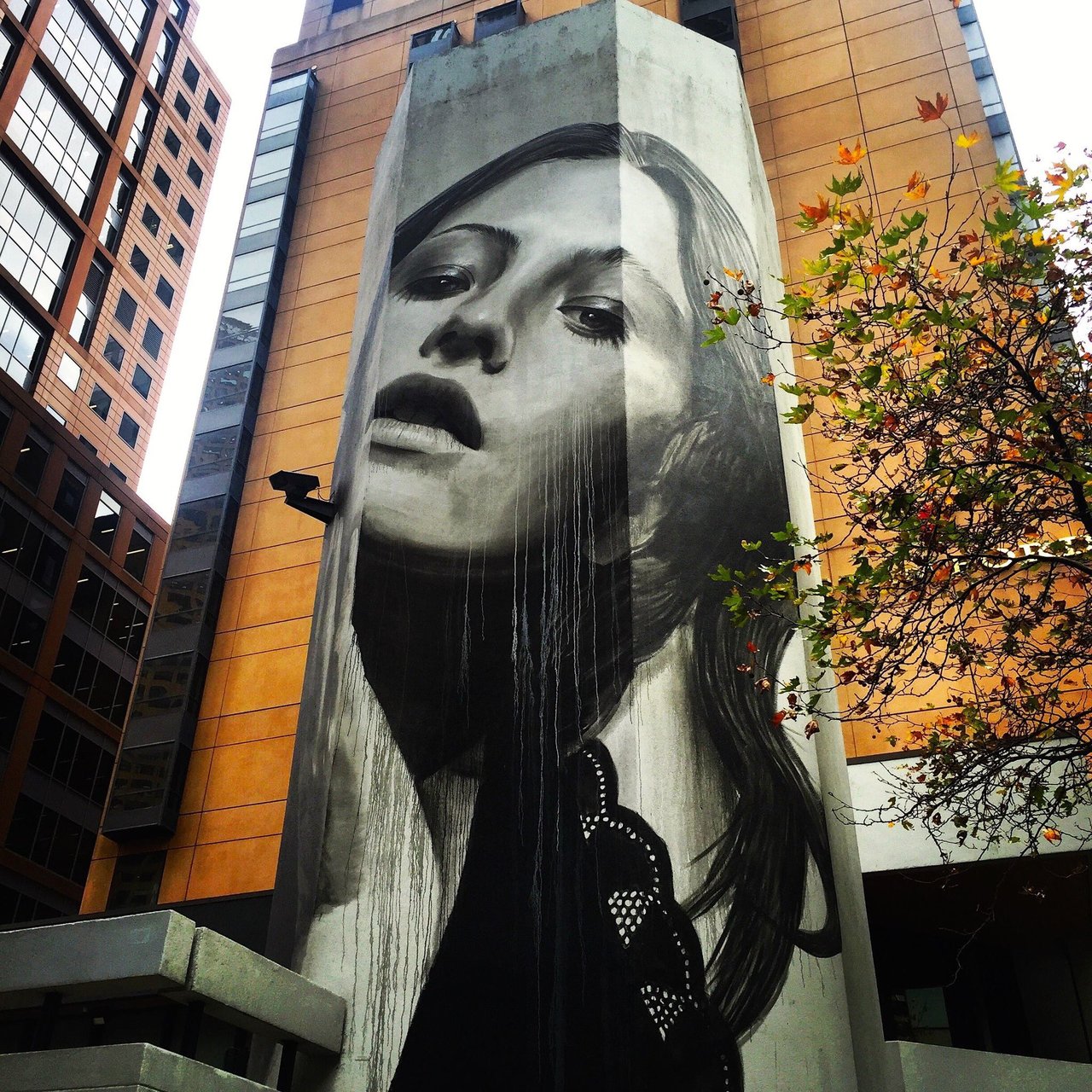#Mural by Rone #Melbourne, #Australia #Streetart #urbanart #graffiti #art https://t.co/6nmO95caEE