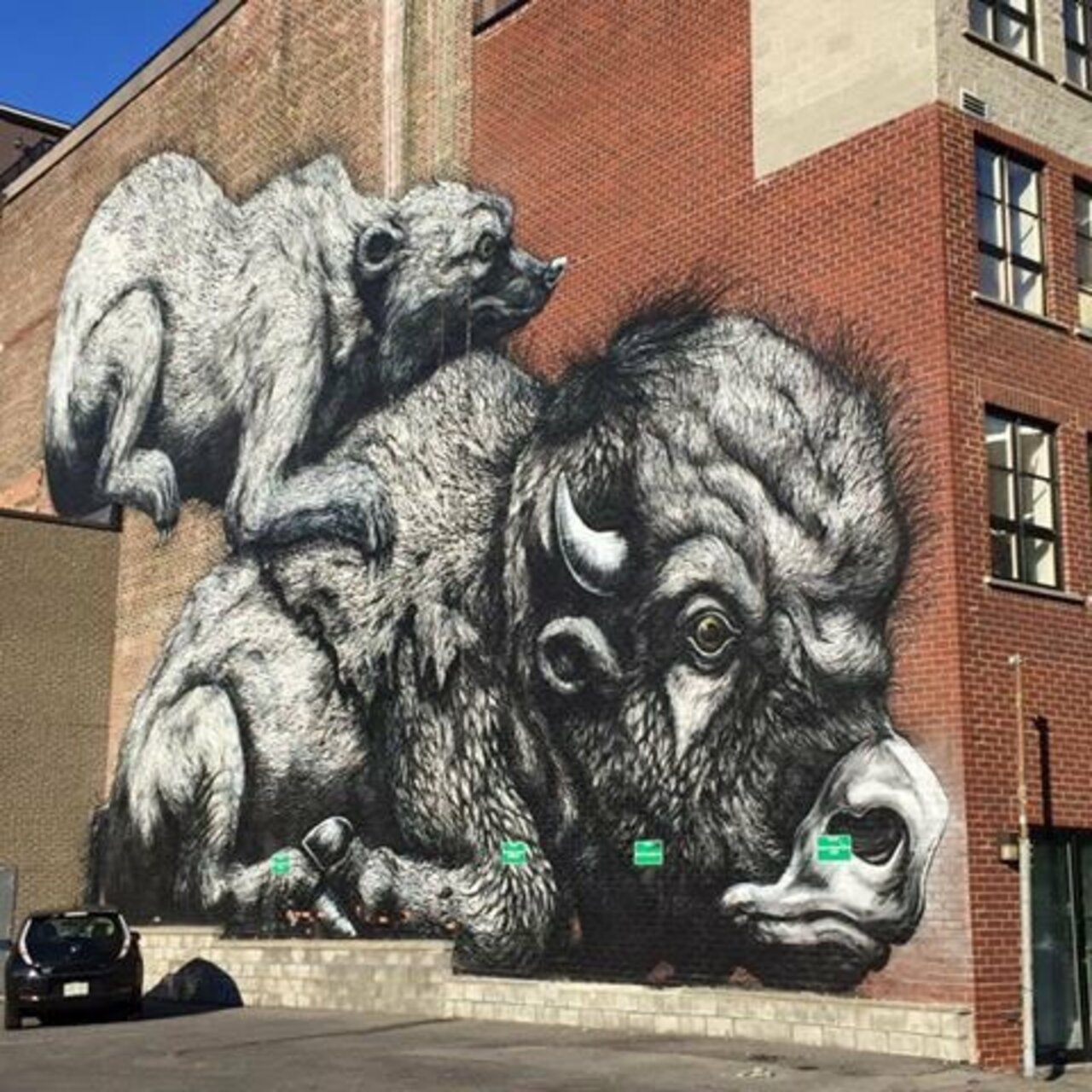 Mural by ROA #Montreal #Canada #Streetart #urbanart #graffiti #mural #art https://t.co/S1DbKRuEQS