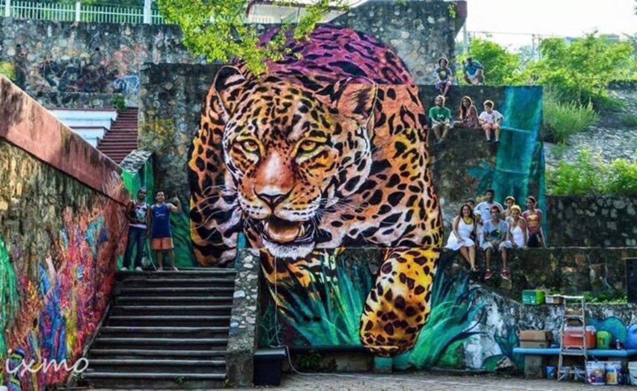 #mural by Elisa Rank #Mexico #art #graffiti #mural #streetart #urbanart https://t.co/suWXPvdCdr