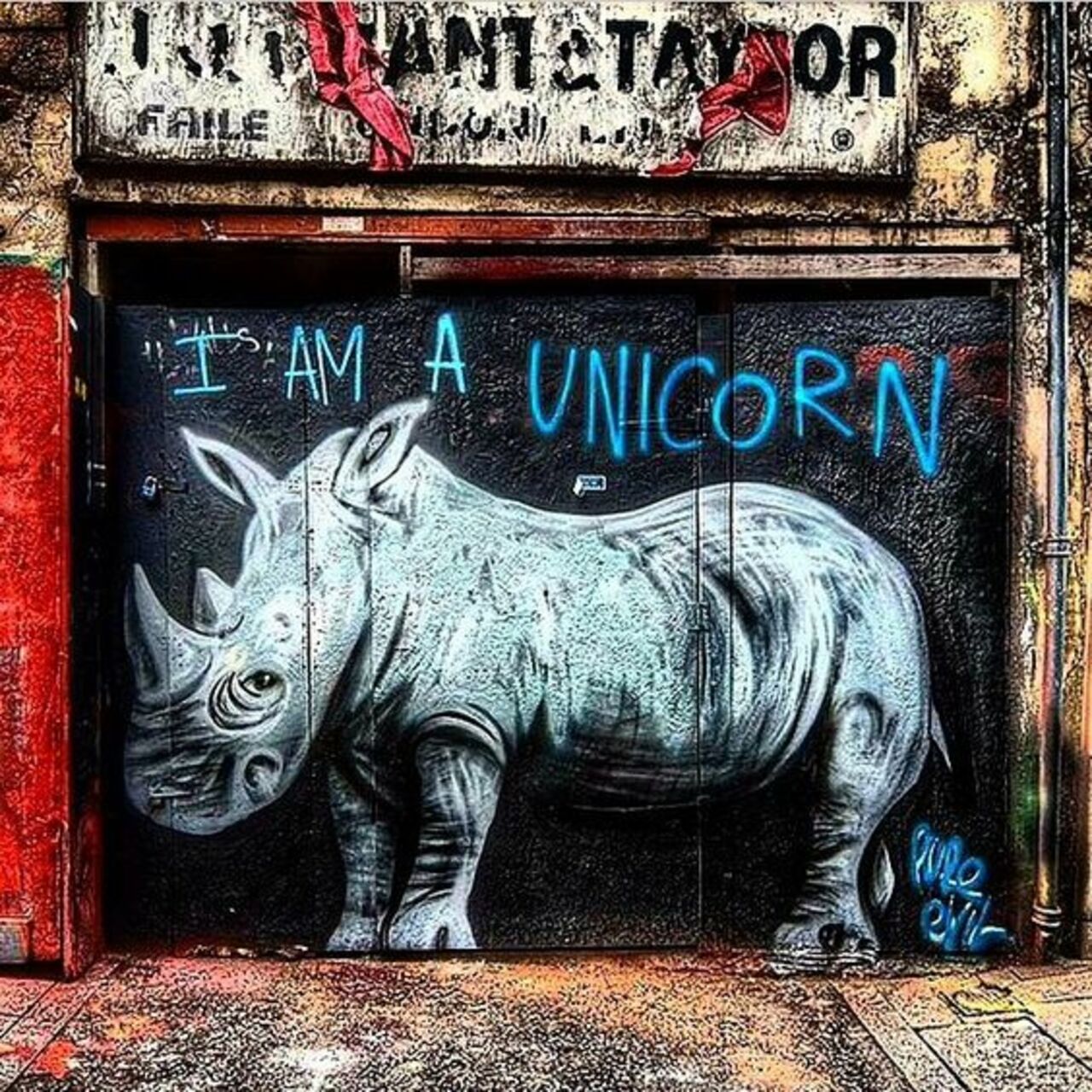 Save the Magical Rhino      •      #streetart #graffiti #rhino #SaveTheRhino #art  . : https://t.co/WcmQfUr6mZ