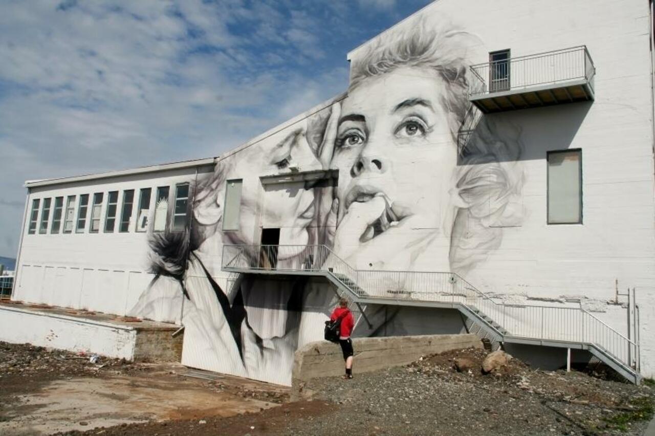 The streets in Reykjavik are never dull. Have a look at this piece: http://bit.ly/IcelandGraff #streetart #Iceland https://t.co/luDq4wSQBN