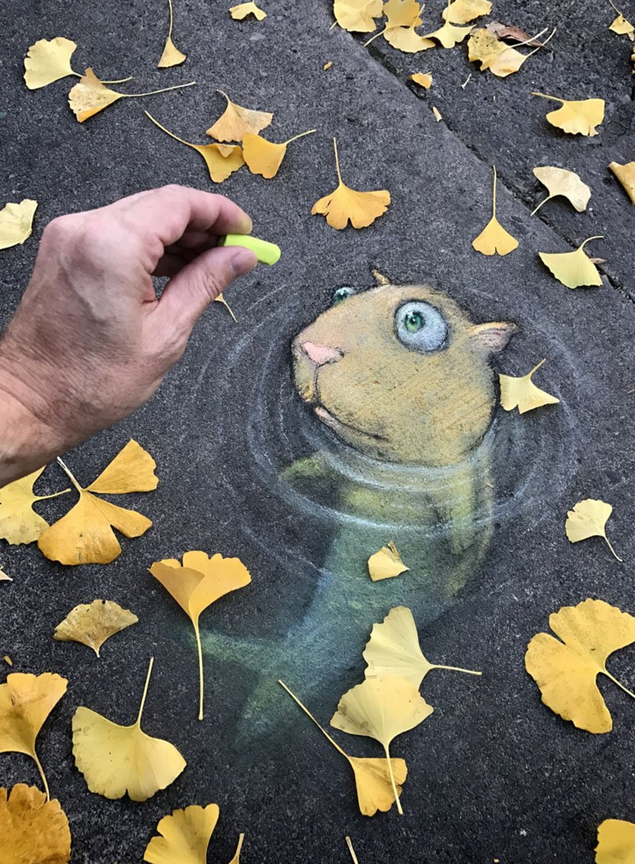 The Care and Feeding of Chalk Creatures, Vol. 7: Urban Catfish #streetart #sidewalkchalk #3Dart #fishing https://t.co/x54GyXTcID