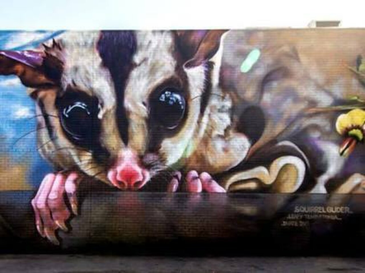 #mural by Dvate #Benalla #Australia #streetart #art #graffiti https://t.co/8vI8CAFkNI