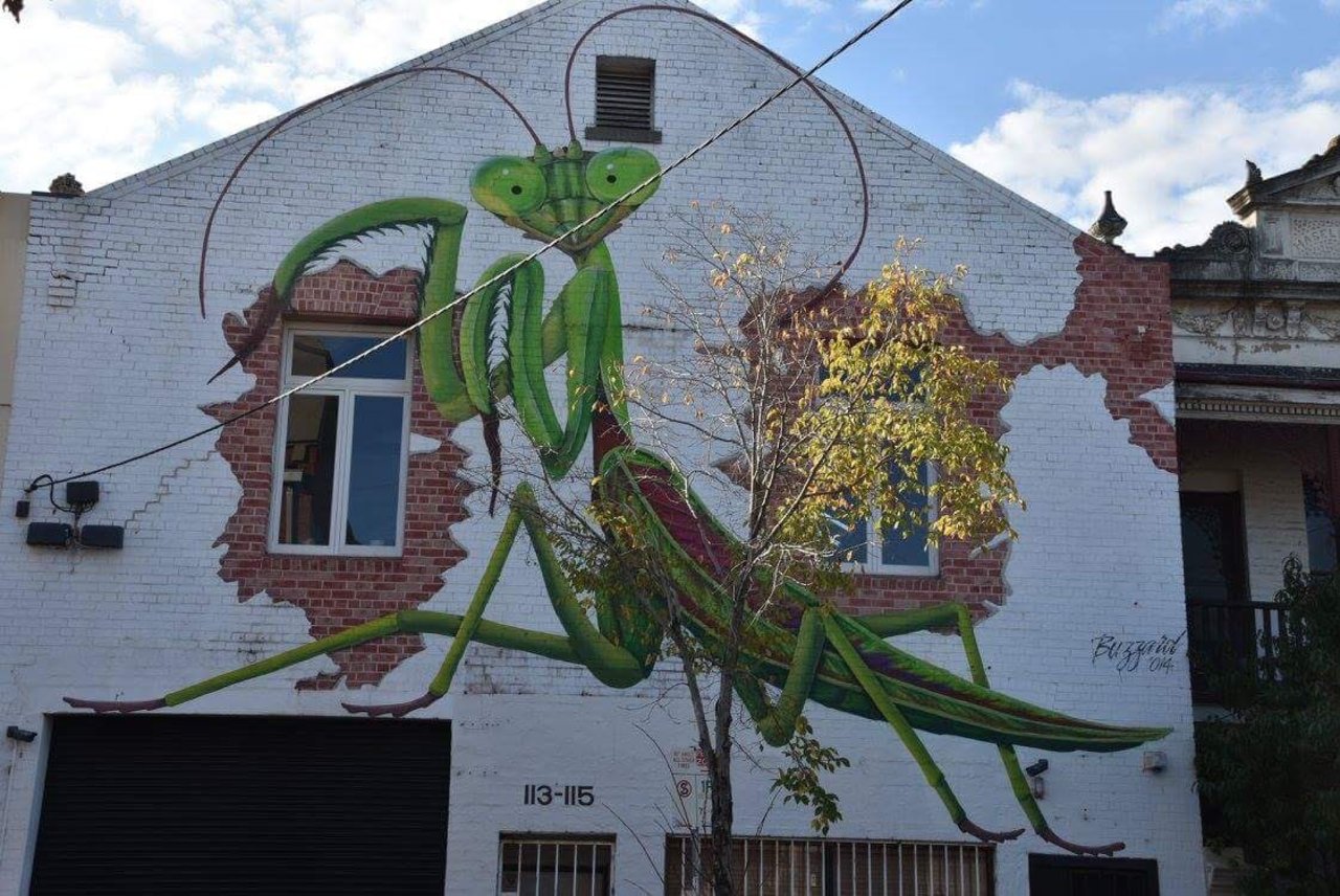 #Melbourne #Fitzroy #Australia #graffiti #streetart photo by @fivebees73 https://t.co/ZcEM3g1P4z