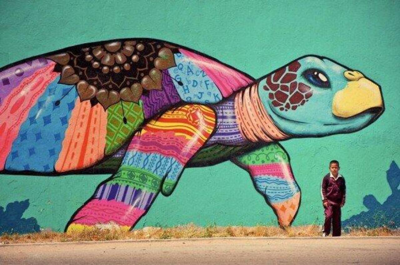 “@5putnik1: Mexican Turtle #tijuana #graffiti #streetart #art #funky #dope . : http://t.co/pX2S6NEfni”