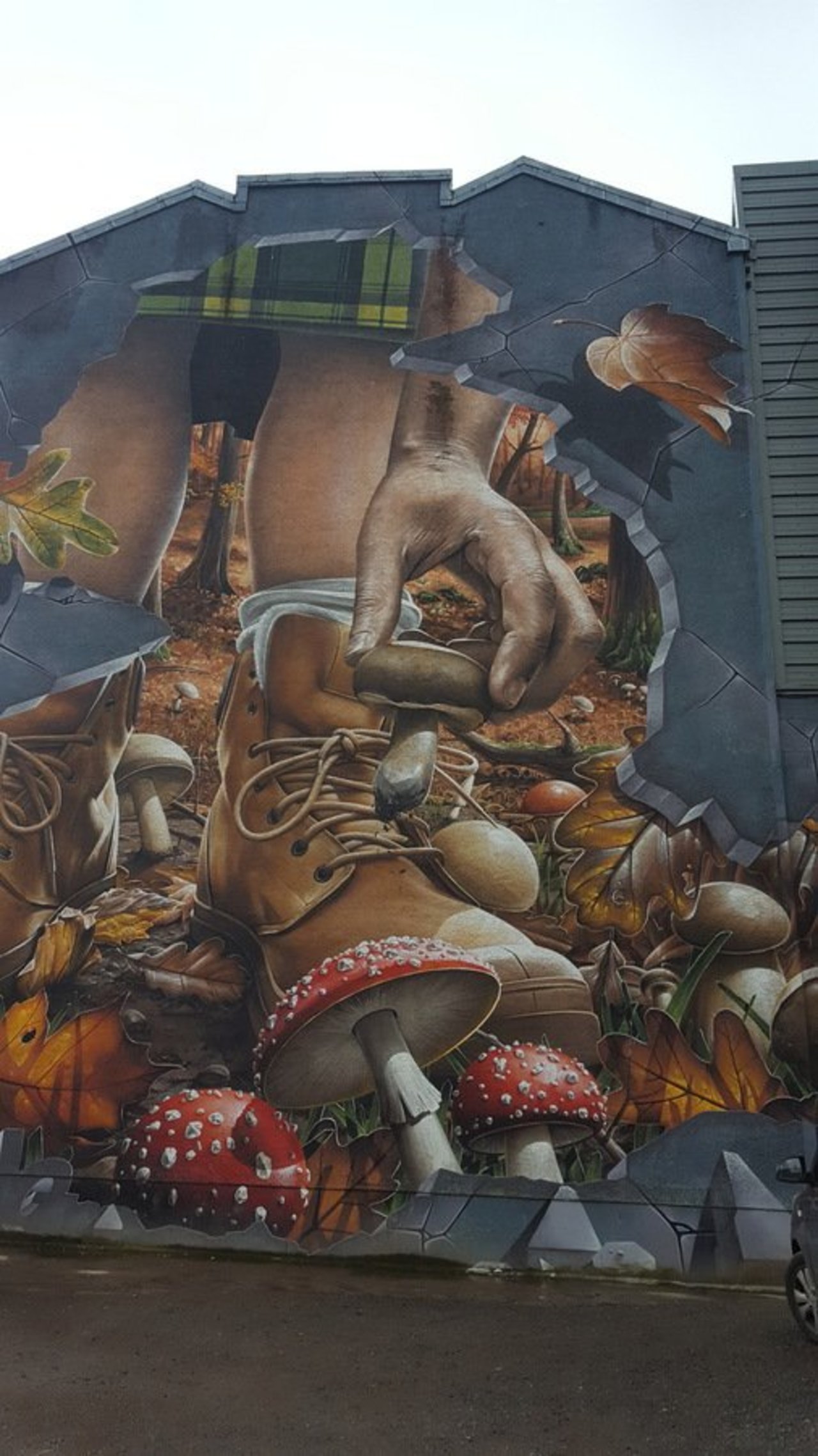 Picking Mushies in Glasgow -Street Art by Smug#art #artist #streetart #muralart #graffiti #artistsnartlovers #LoveTwitter https://t.co/UU8ulFkhHD