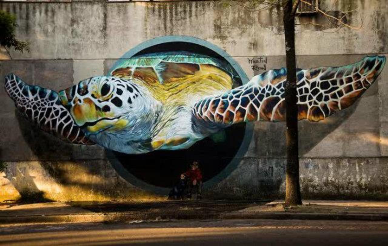 Turtle Portal #buenosaires #streetart #graffiti #art #funky #dope . : http://t.co/z0YNDzy8tY