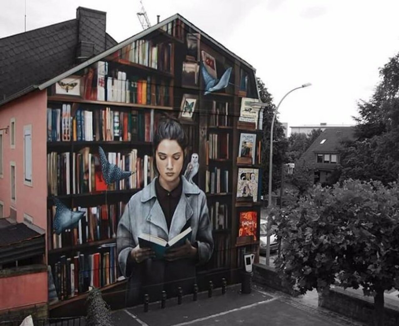 Street knowledge... #streetart #graffiti #muralart https://t.co/zwVtJrMfCF