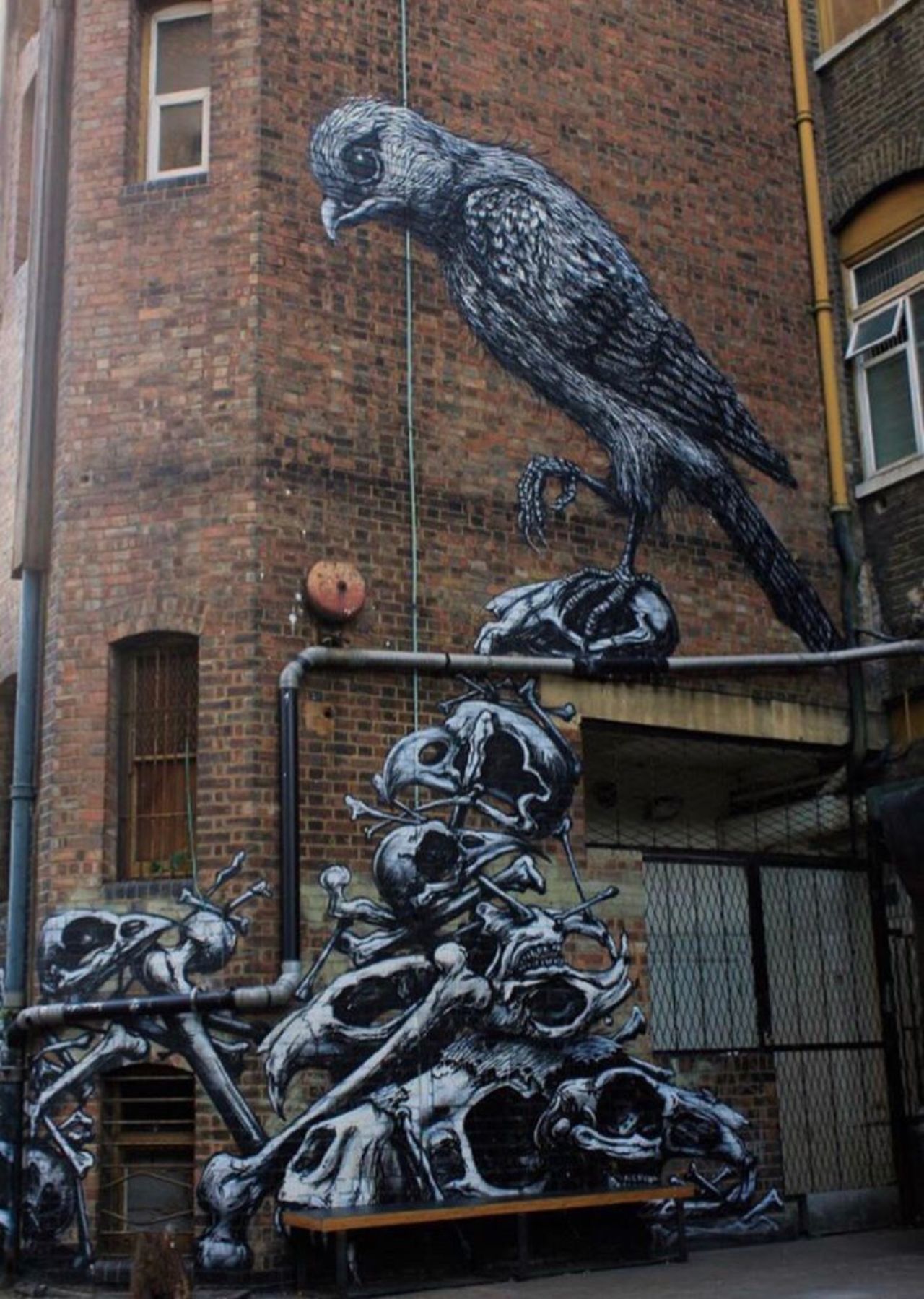 New work by ROA in London, UK #streetart #mural #graffiti #art https://t.co/vTklkFzimH