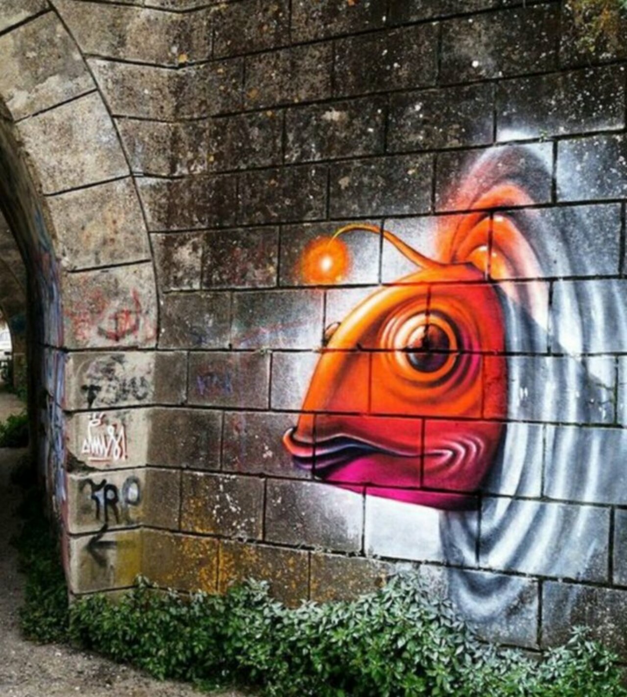 the wall Fish.. #streetart #graffiti https://t.co/XTi3LL1iil