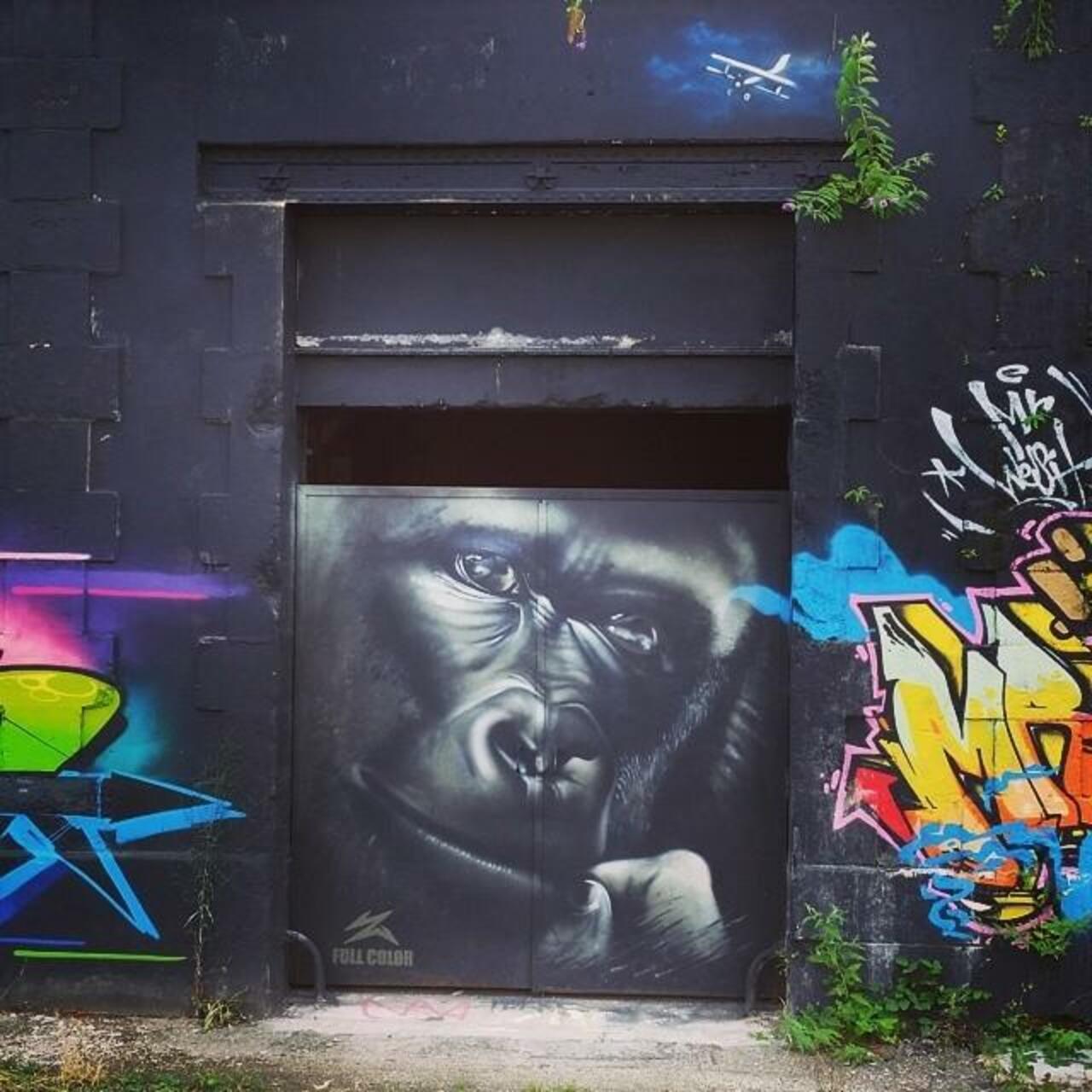 http://bit.ly/1v3KwNw "#urbanart #streetart #graffiti #portrait #france #rue #art #graffitis  #photodujour # b... http://t.co/DnMCqvl6Br