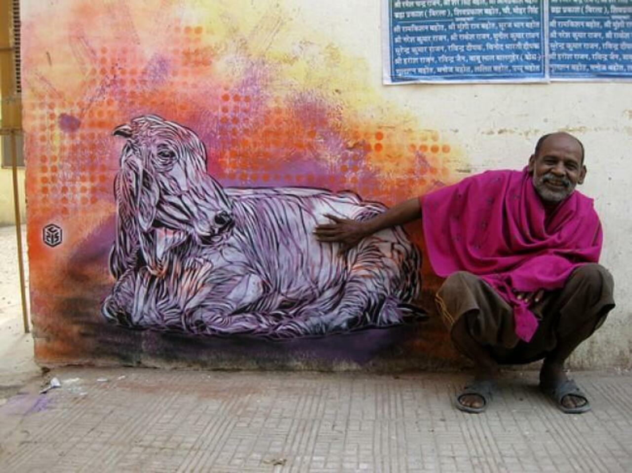 Street Pets in India #streetart #graffiti #india #art #funky #dope . : http://t.co/BQpJqHOhWB