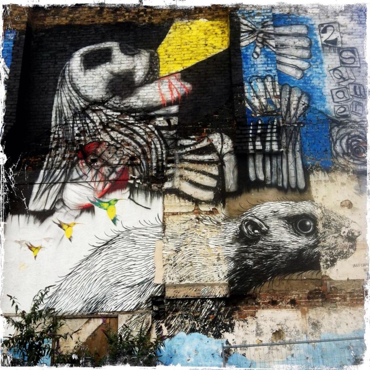 Roa & @joycetreasure & others on Hackney Road #art #streetart @ShoreditchGraf #graffiti http://t.co/ukPtXairlD